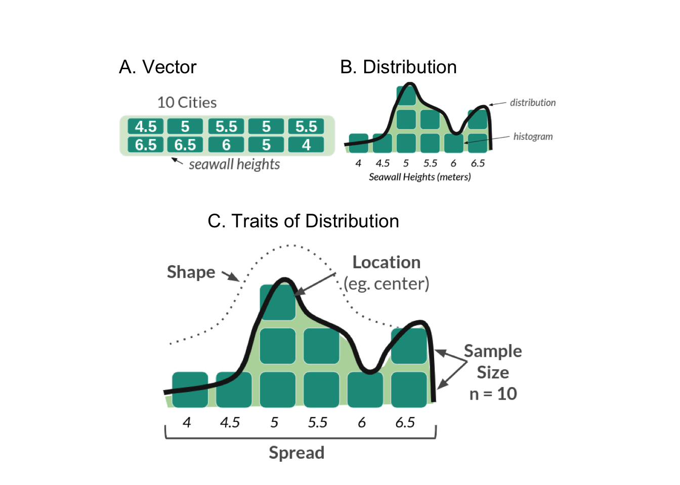 Figure 2: Seawall Vector as a Distribution — A. Vector, B. Distribution, C. Traits of Distribution